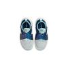 Nike Flex Advance SE PS Pawprints Kids Sneakers White Pure-Platinum Valerian-Blue DQ6476-001