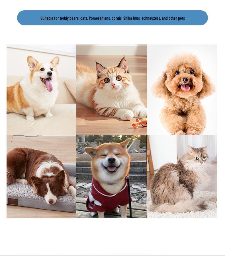 Automatic Pet Foot Washer for Dogs & Cats - Electric Cleaner for Beauty Care