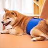 Pet Belly Band Adjustable Leak-proof Fabric Diaper Dog Shorts Pet Physiological Pants for Female Dogs