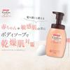 CareCera Baby Body Wash by Rohto Formulated with 7 Natural 10x Ceramide Highly Moisturizing 1 Bottle Pharmaceutical, Ceramides, Concentration, Foam,