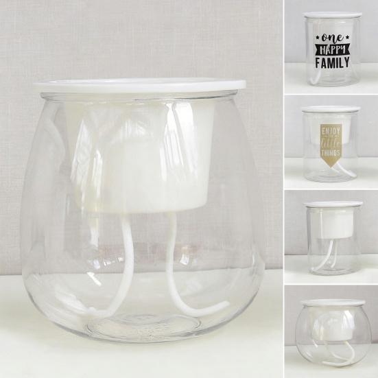 Self Watering Plant Pot Flower Pot with Transparent Reservoir Clear Self Watering Planter for Indoor Plants Flowers African Violets