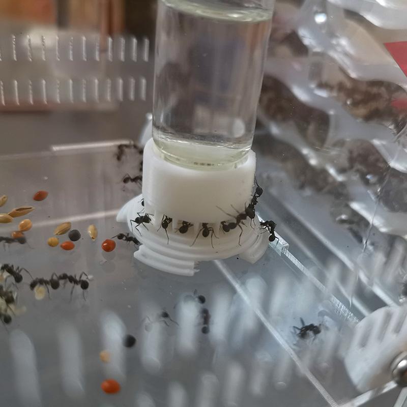 1PCS Ants Drinker Water Feeding Area for Ant Nest Acrylic Large Capacity Ant Water Feeder for Insect Workshop Ant Water Tower