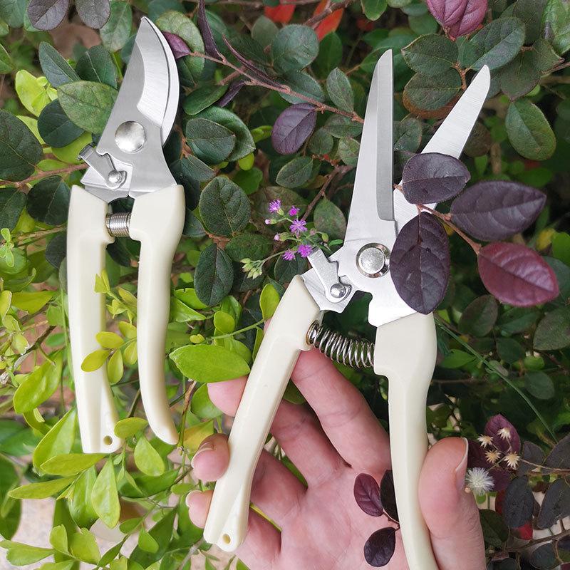 Stainless Steel Floral Scissors for Pruning and Grafting - Ideal for Flowers, Fruit Trees, and Garden Branches