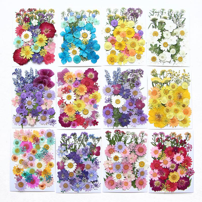 6pcsDried Flowers Real Natural Plant Pressed Flower Epoxy Resin Filling DIY Keychain Pendant Silicone Mold Jewelry Making Crafts