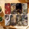 R-Renaissance Art Paintings Phone Case For iPhone17,16,15,14,13,12,Plus,Pro Max, 5G Others Soft Black Cover