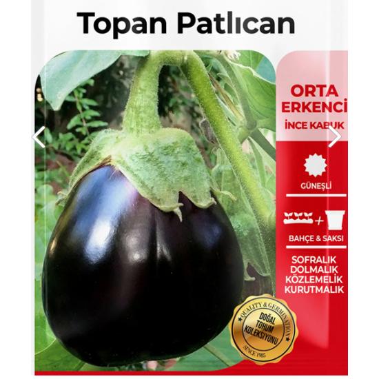 

400 Adet Topan Patlıcan Tohumu