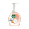 Grapefruit Fresh Foaming Hand Soap