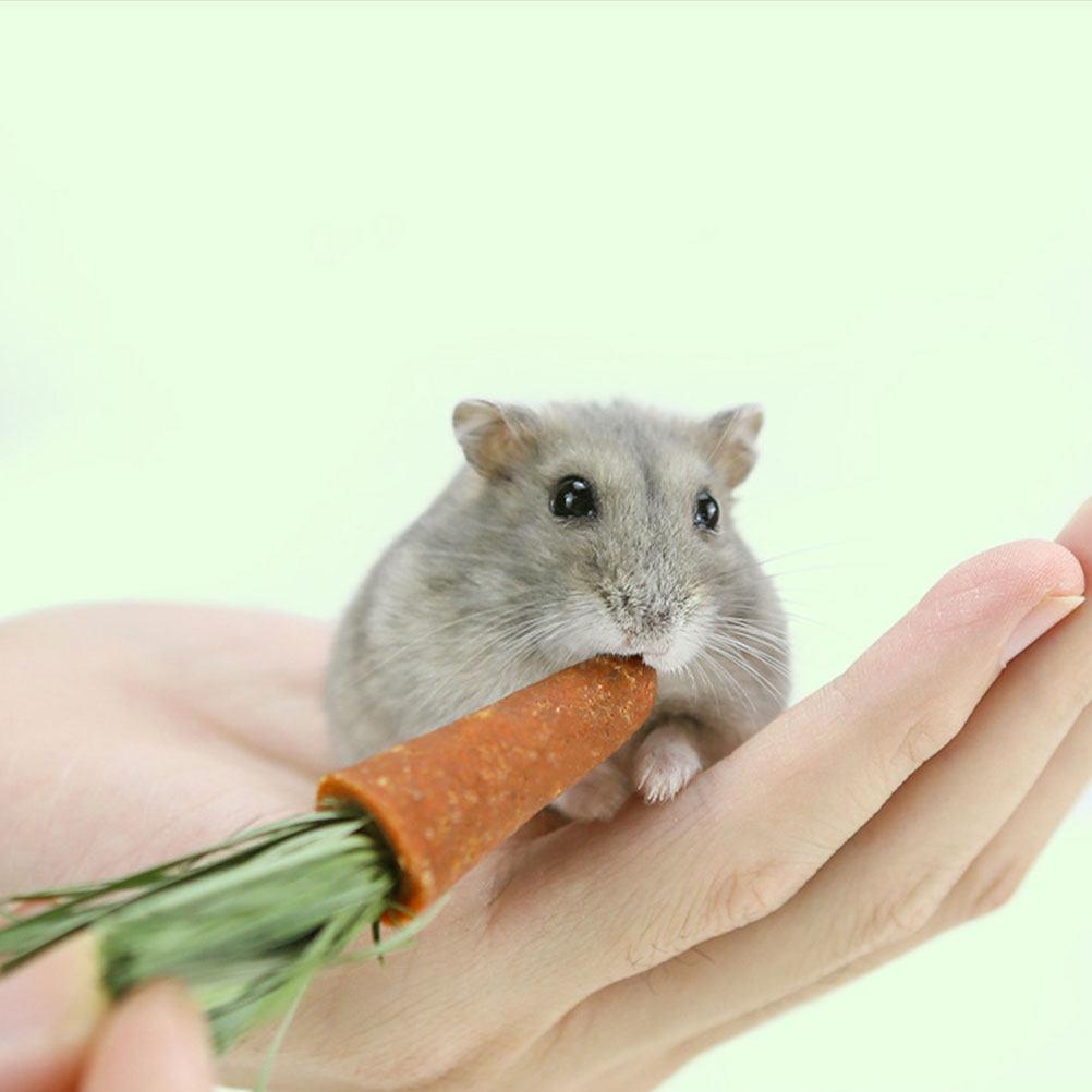 

9Pcs Rabbit Hamster Teeth Cleaning Carrot Chewing Sticks Small Animals Chew Plaything Pet Supplies Cage Hamster Toys 6X2X2CM