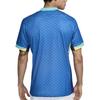 Nike Brazil 2024 Stadium Away Men's Nike Dri-FIT Soccer Replica Jersey FJ4283-458