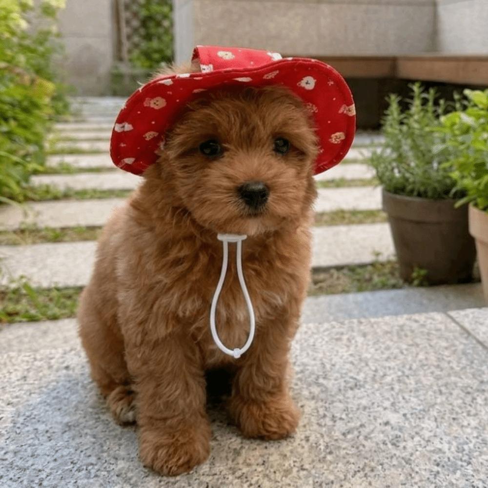 Breathable Dog Fisherman Hat Adjustable Pet Sun Cap Party Photo Dress Cat Sunscreen Hat  Kitten