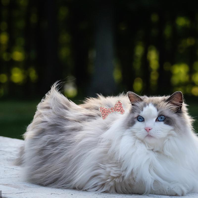 Non-slip Pet  Hair  Clips Bone-shaped Colorful Rhinestones Decoration Hairpin Hair Grooming