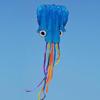 4m Octopus Kite Outdoor Wheel Kite Winder with 100m Twisted String Line Set
