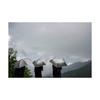 EVERNEW SHADOW Master 70 Heat-Shielding Folding Parasol UV Cut 99.9% Full Carbon Umbrella EBYR792