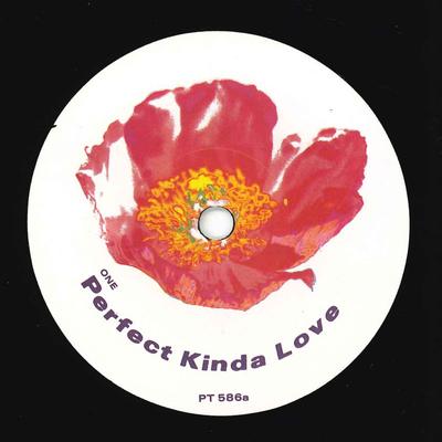 7inch Record SIMONE LE GASSICK  Perfect Kinda Love PT586 PRESIDENT 1990 UK Dance  Electronica Used