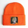 Anime Cartoon Dragon Ball Gohan Goku GOKU Knitted Hat, Woolen Hat, Hip-hop Ski Pullover Hat