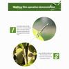 Obstbaum-Pfropffolien-Verpackung Stretchfolie Selbstklebende Bodenfolie Wasserdichte Setzlings-Pfropf-Bindeband