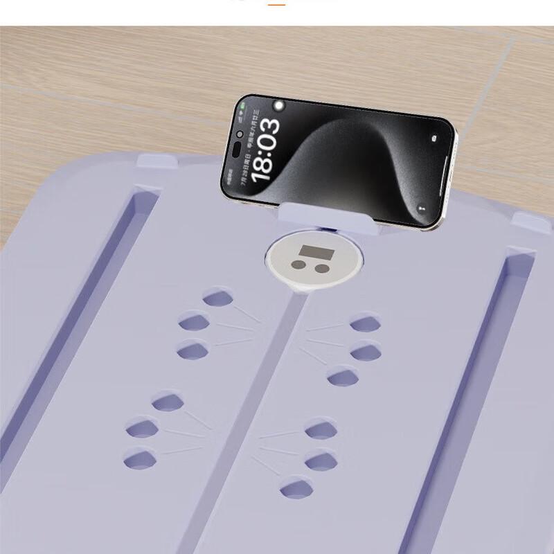 WEZHO Multifunctional Abdominal Fitness Board