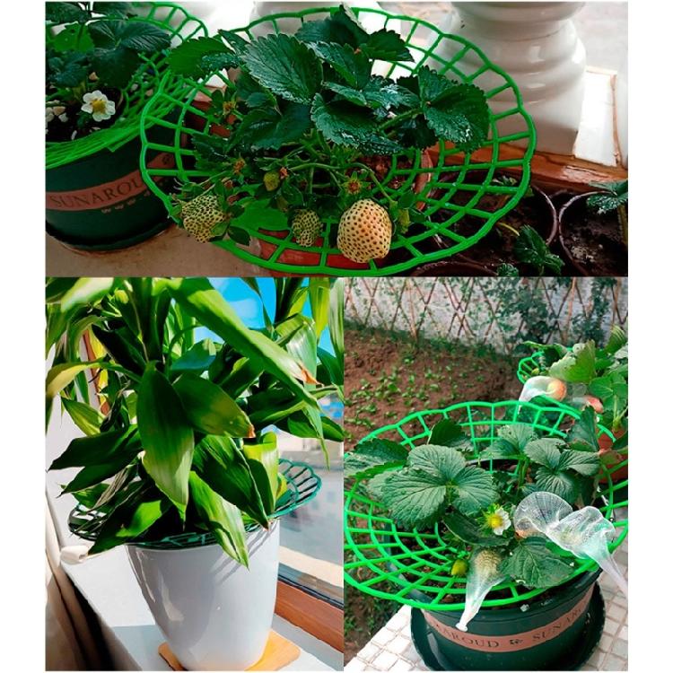 Strawberry Supports Stand Strawberry Plant Supports Cages Climbing Trelli