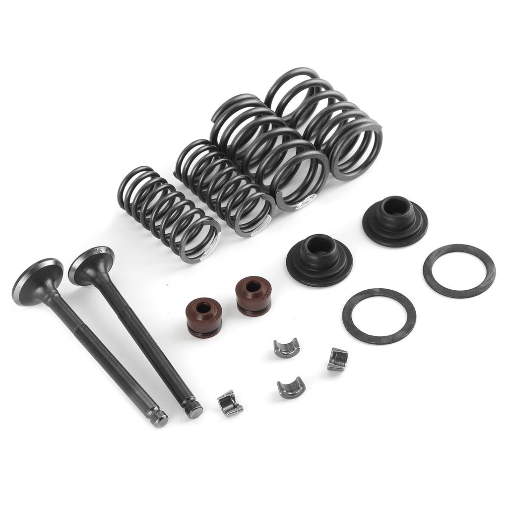 16pcs Engine Valve Spring Assembly Kit Metal Polishing Fit for GY6 50 60 80 100 125 150CC
