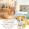 JVILEX Corgi Plush Dog Cute and Fluffy Toy, Pillow, (Approx. 45cm) (Shiba Inu) [Product Code]