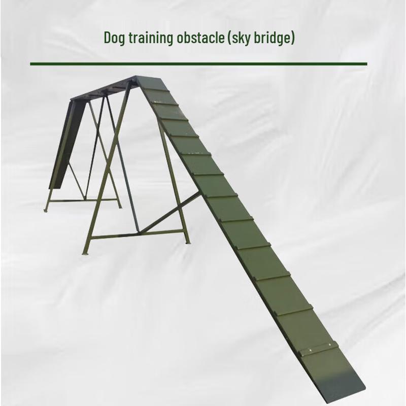 Outdoor Dog Training Obstacle Course
