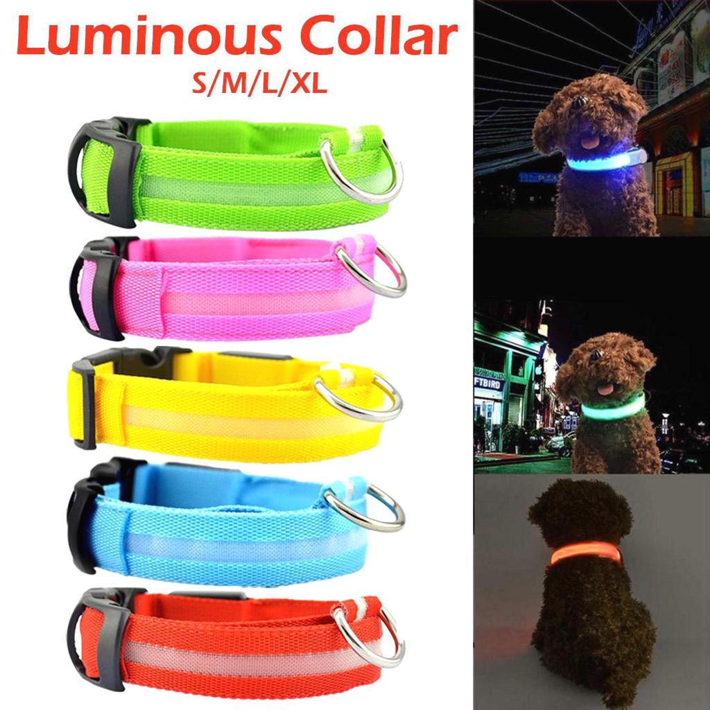 Coleira fluorescente para cachorro Clearance