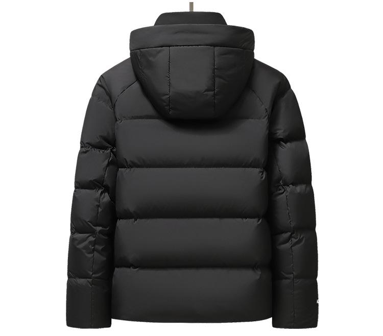 2025 Winter Men's Hooded Down Jacket - Korean Style, Warm, Stand Collar, White Duck Down for Middle-Aged & Young