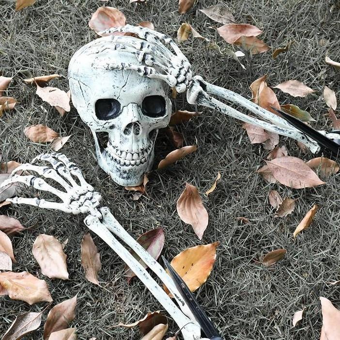 Halloween decorations, venue layout props, skulls, skeletons, ghosts on the ground