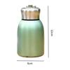 Insulated Coffee Mug Travel 300ml Camping Stainless Steel and Cold Drinks
