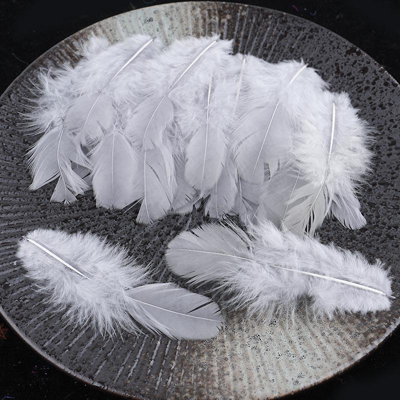 Mixed Color Chicken & Peacock Feathers for DIY Ornaments, Handicrafts, and Handmade Clothing Accessories.