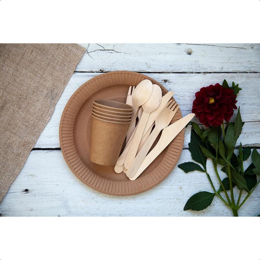 

Одноразовые деревянные столовые приборы, сертифицированные FSC, нож, биоразлагаемые и экологичные, длина 6,5 дюйма, 100 штук United States