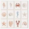 Beach Crab Conch Coral Starfish Shell Sand Watercolor Poster Canvas Printing Coastal Wall Art Picture for Living Room Home Decor