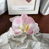 Women Girls Summer Beach Orchid Flower Hair Clip Hawaiian Boho Butterfly Orchid Hair Barrettes Hair Accessories