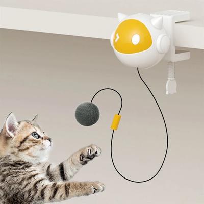 Kedi – Kedi Oyuncakları