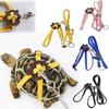 Adjustable Pet Turtle Tortoise Walking Harness Leash Multi Color Chest Strap Outdoor Walking Vest for Small Medium Reptiles