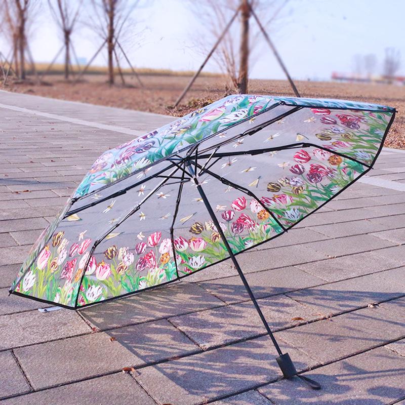 Dual-Use Automatic Transparent POE Umbrella - Xiaohongshu Style with Cats and Dogs Design