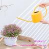 Leide Zhuzhu Wrought Iron Long Spout Watering Can for Flowers and Succulents
