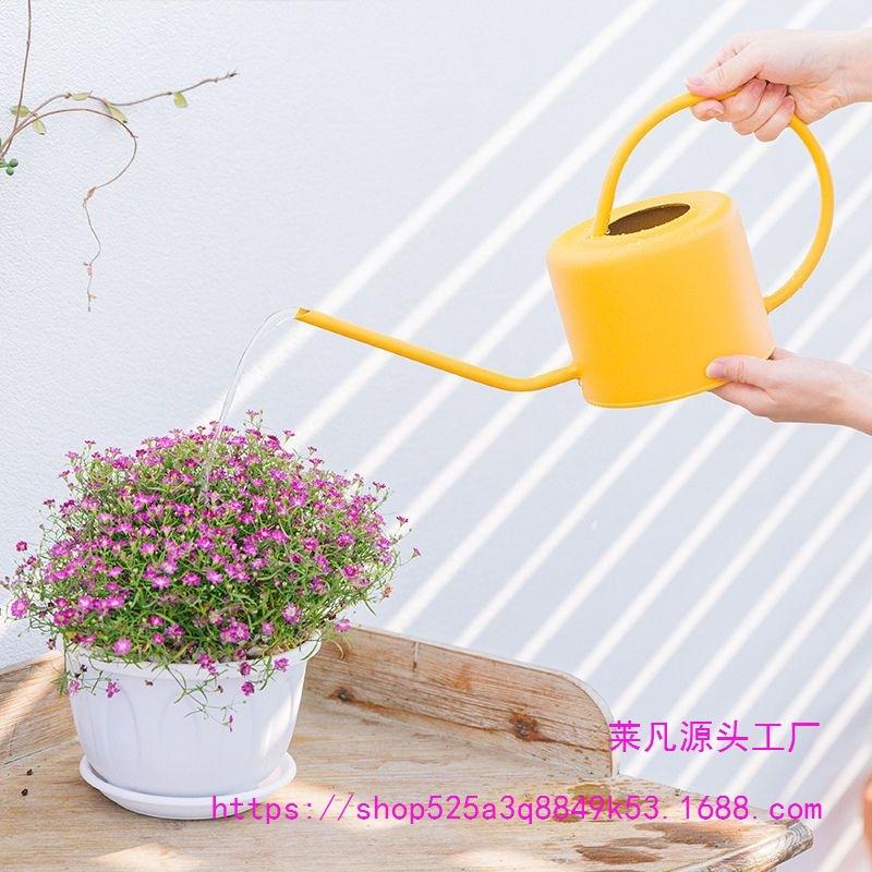 Leide Zhuzhu Wrought Iron Long Spout Watering Can for Flowers and Succulents