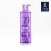 Hyaluronic Acid Scalp Shampoo 660ml