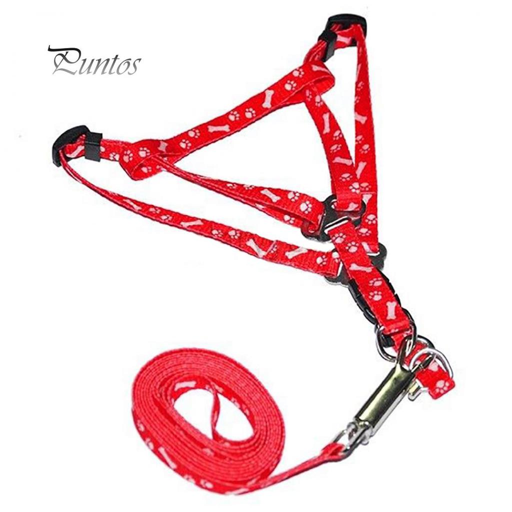 Postrojový golier Leash Bones Paws Trakčné lano
