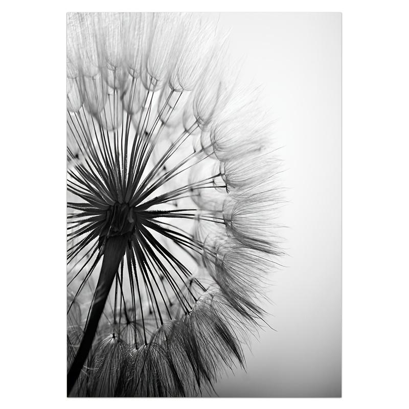 Black White Dandelion Flower Wall Art Prints And Poster Nordic Living Room Wall Art Decorative Canvas Paintings For Home Decor