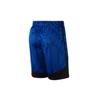 Nike Basketball Shorts Men's Blue 893807-410