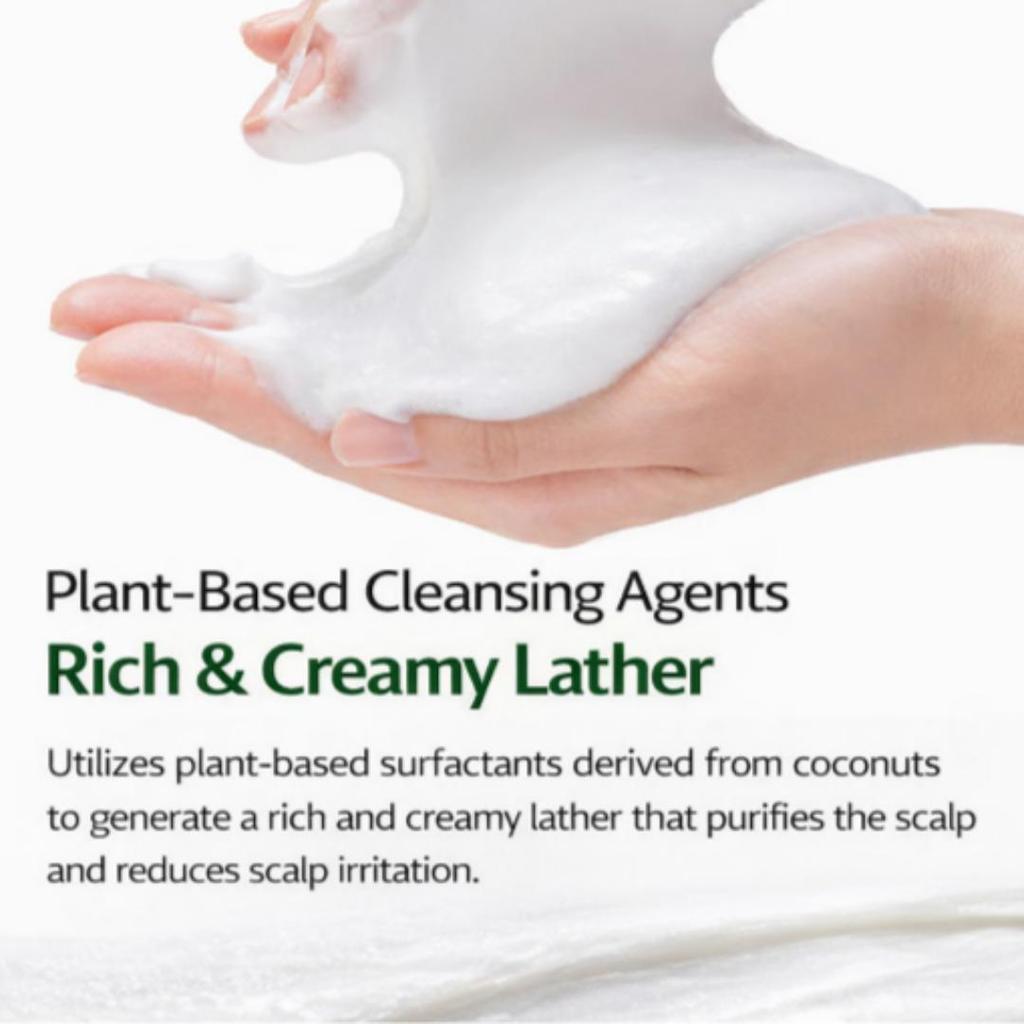 [TS] [Daiso] Shampoo & Treatment Collections