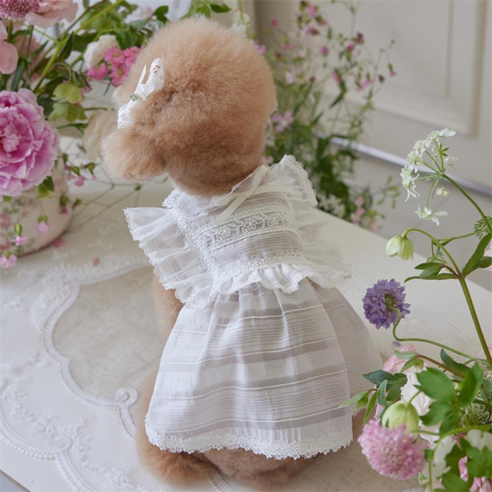 Soft Pet Summer Clothes Lace Cat Flying Sleeve Skirt Pet Supplies Pet Princess Dress  Summer