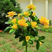 Warm Solar Azalea LED Lights Outdoor Garden Lawn Patio Decorative Pathway Lamp