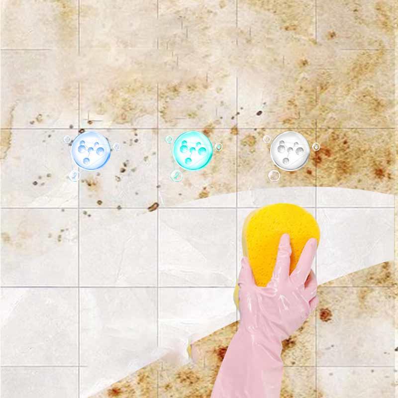 500ml High Concentration Oxalic Acid Cleaner Remover Tiles Toilet Ceramic Floor Stains Limescale Powerful Cleaning Liquid