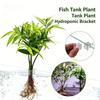 6PCS Fishtank Plant Holder for Aquarium Stable Hydroponic Plant Support Stand For Water Plant Easy To Install Landscape Supply