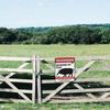 Metal Wall Art Pig Caution Sign Vintage Bar Decor