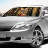 SHEIN Elk Print Aluminum Foil Sunshade - Portable, No-Install Windshield Visor for Men & Women
