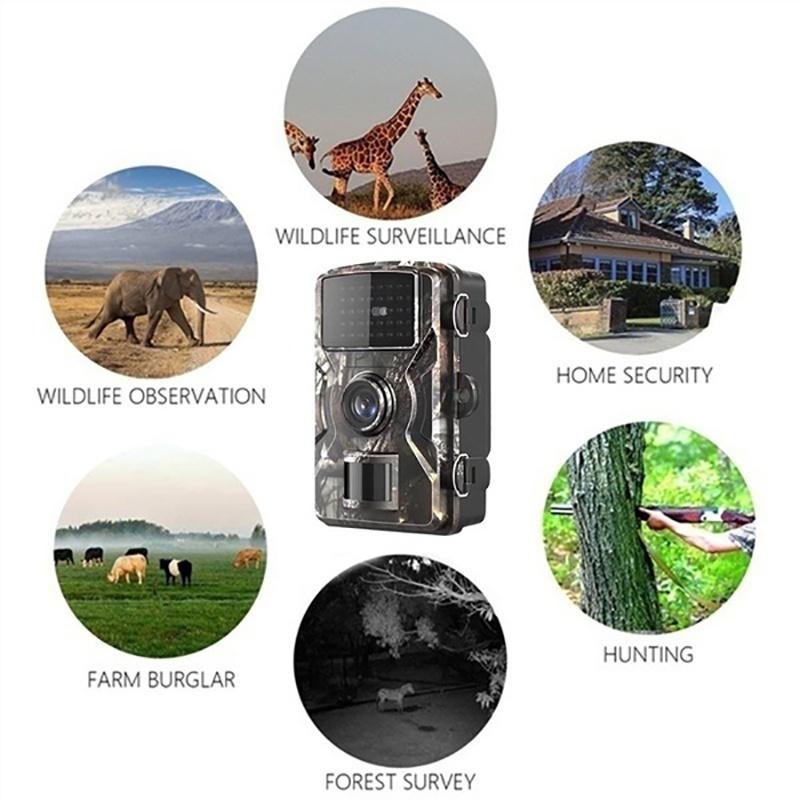 HD 1080P Hunting Trail Camera Wildlife Scouting Infrared Night Vision IP66 Waterproof HD Infrared Tracking Field Detection Camera Outdoor Camcorder